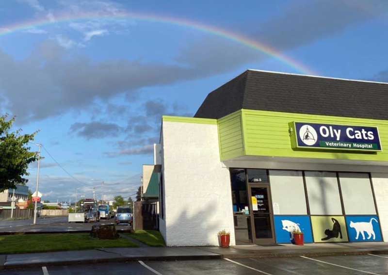 Carousel Slide 2: Learn more about us!